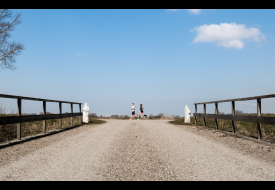Deelnemers van de 10 kilometer van Sluis op een mooie locatie in de polder van de zwinstreek.